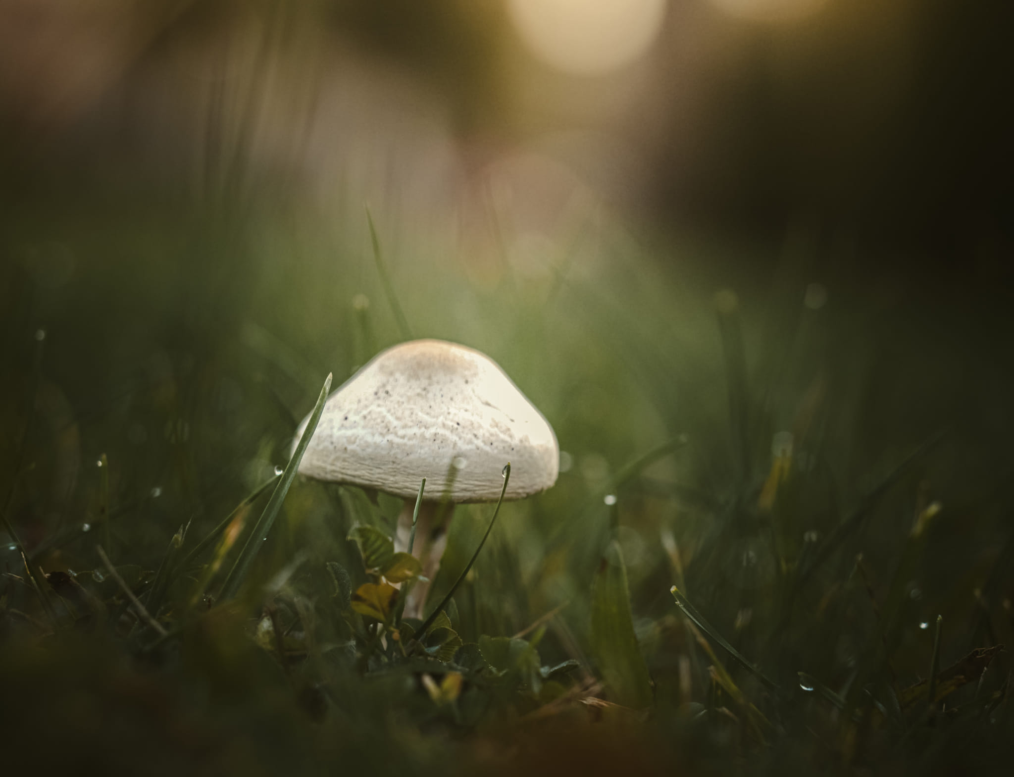 Krajobraz — Głębia Obecności, 15 z 51