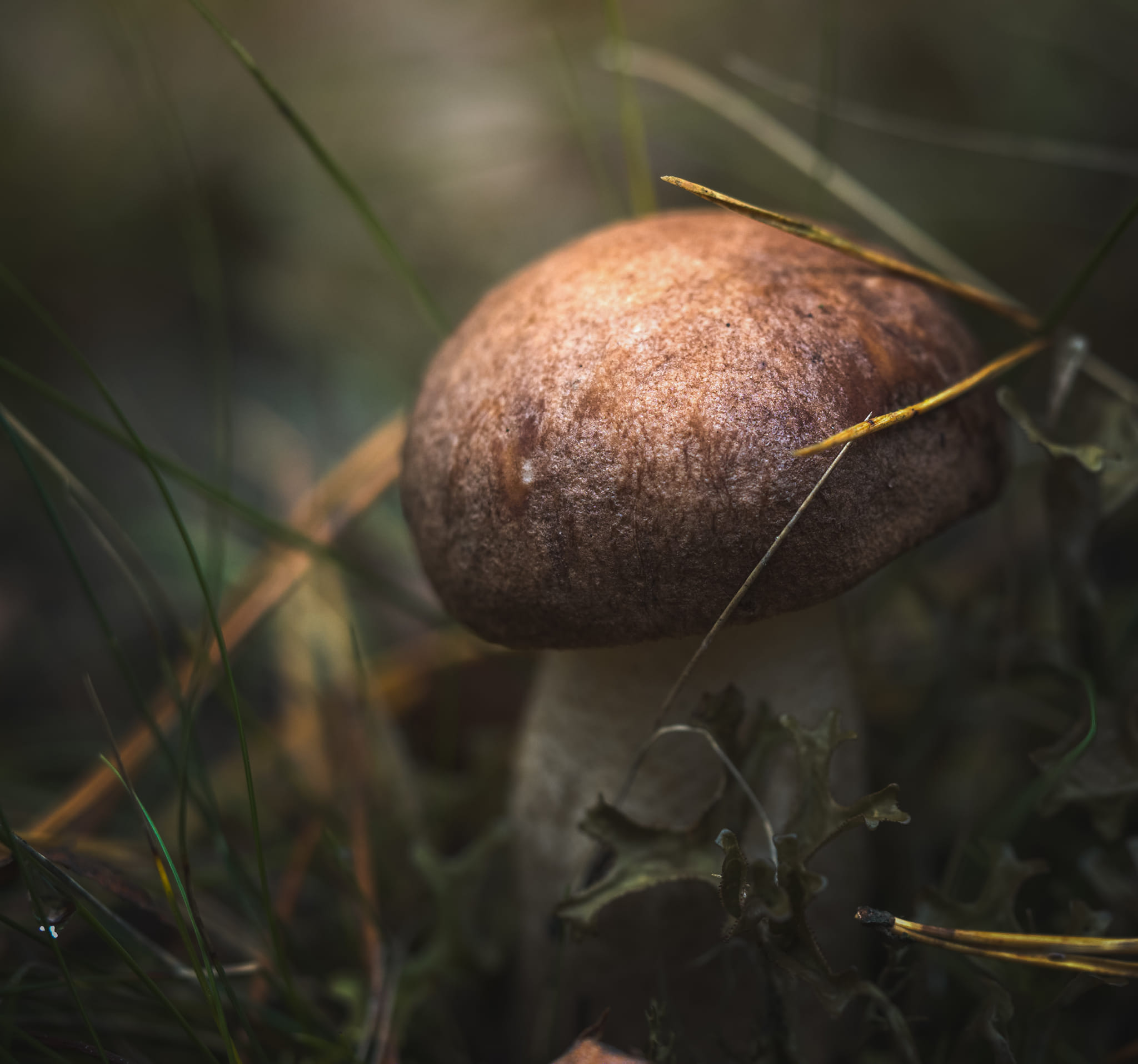 Krajobraz — Głębia Obecności, 17 z 51
