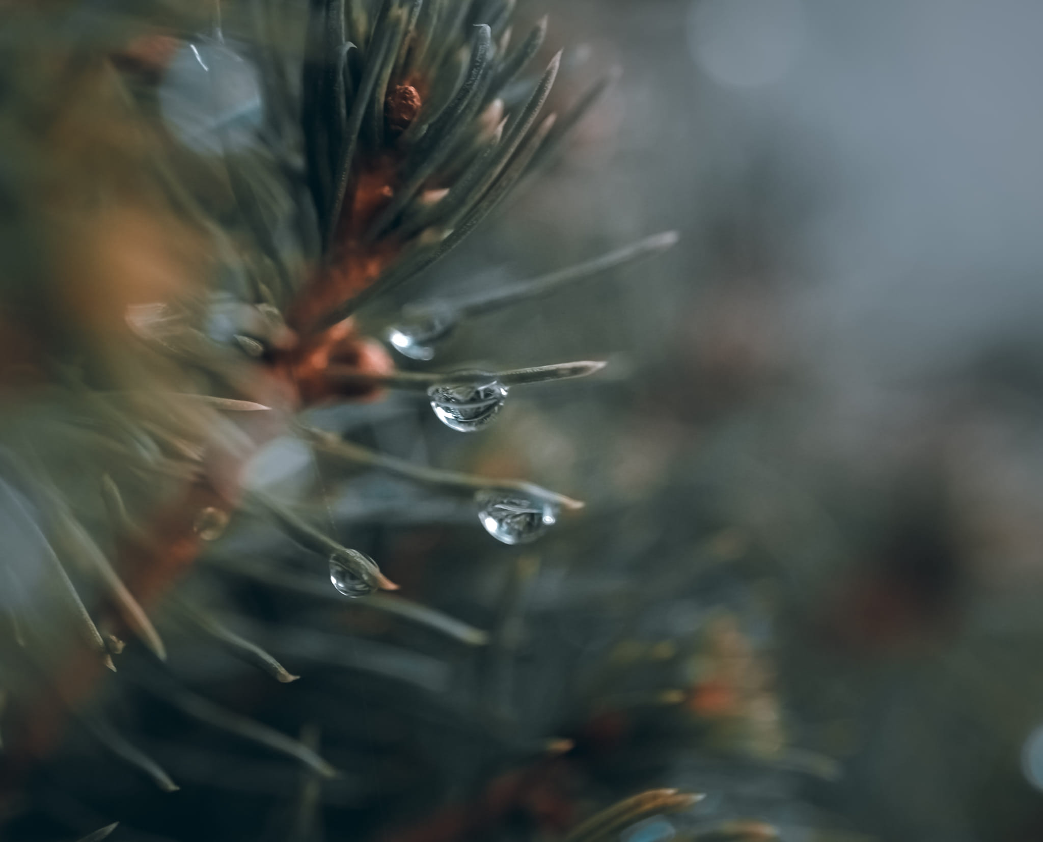 Krajobraz — Głębia Obecności, 43 z 51