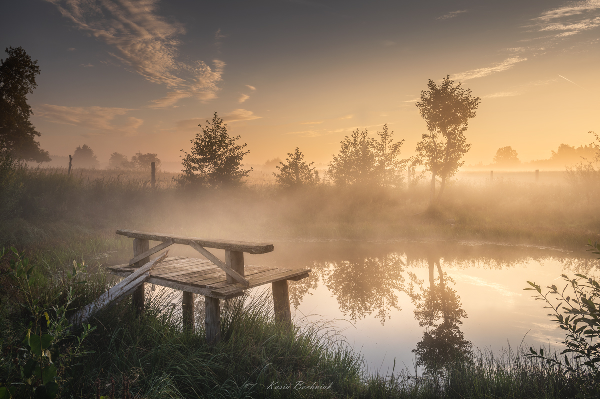 Krajobraz — Głębia naturalności, 8 z 49