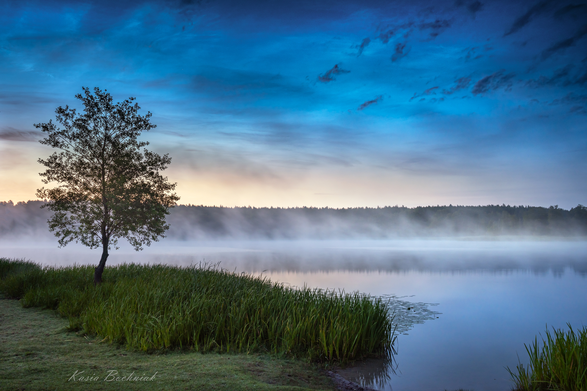 Krajobraz — Głębia naturalności, 20 z 49