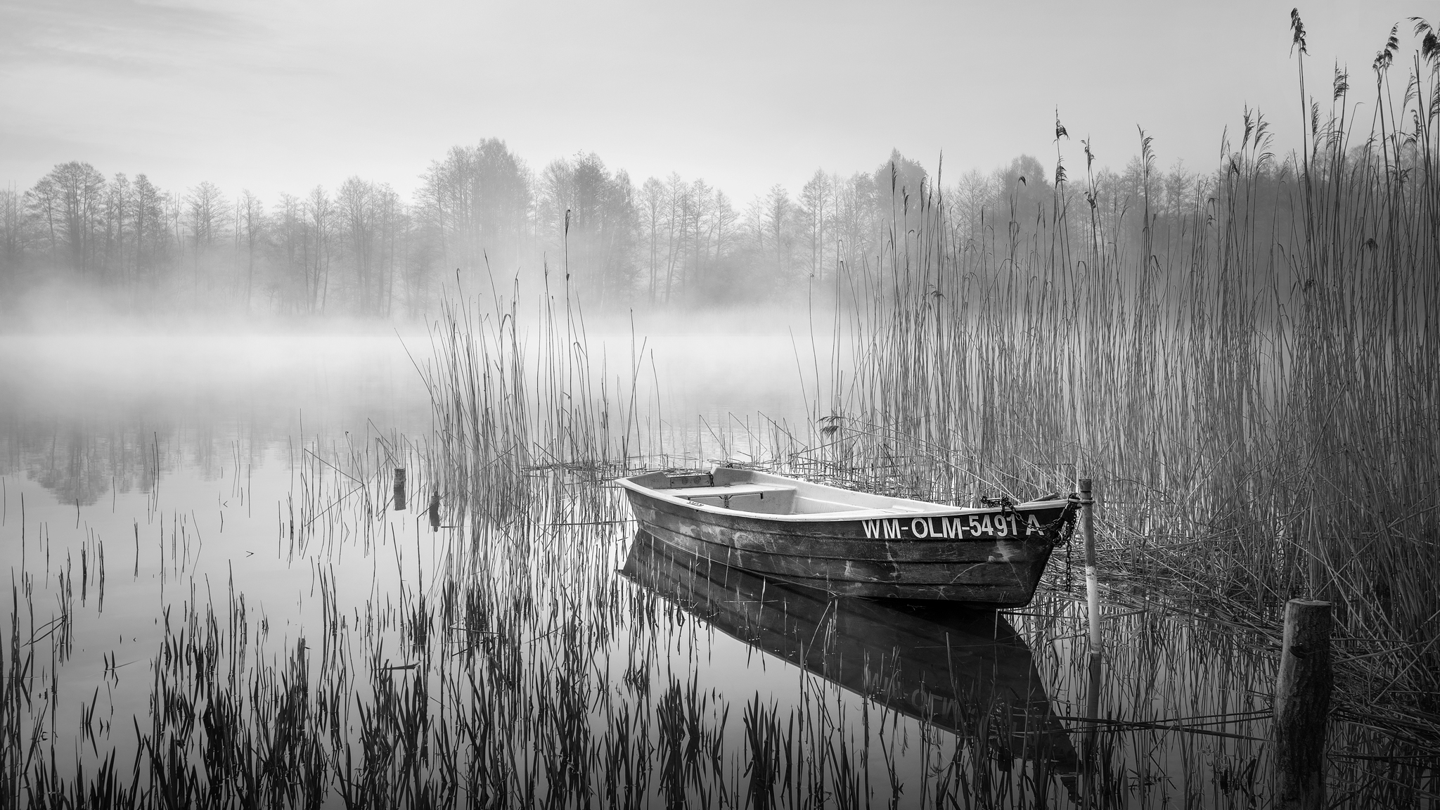 Krajobraz — Głębia naturalności, 29 z 49