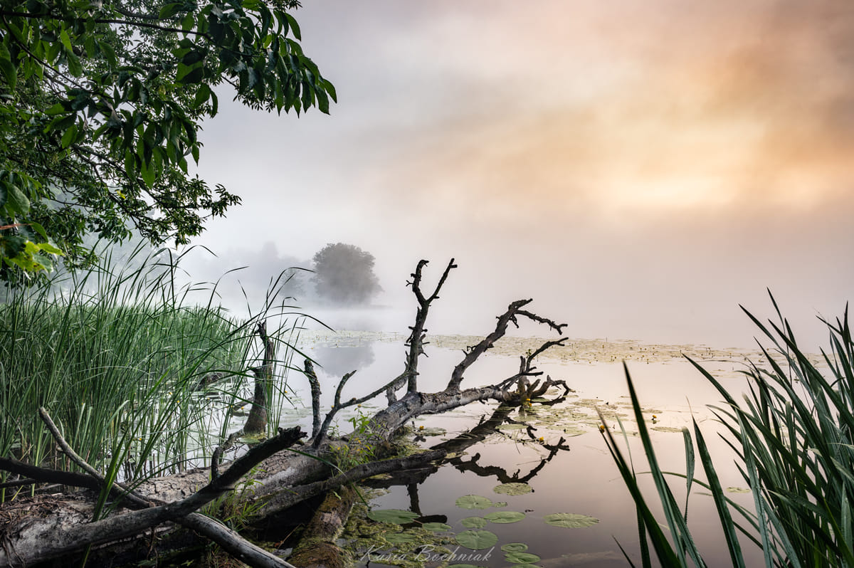 Krajobraz — Głębia naturalności, 37 z 49