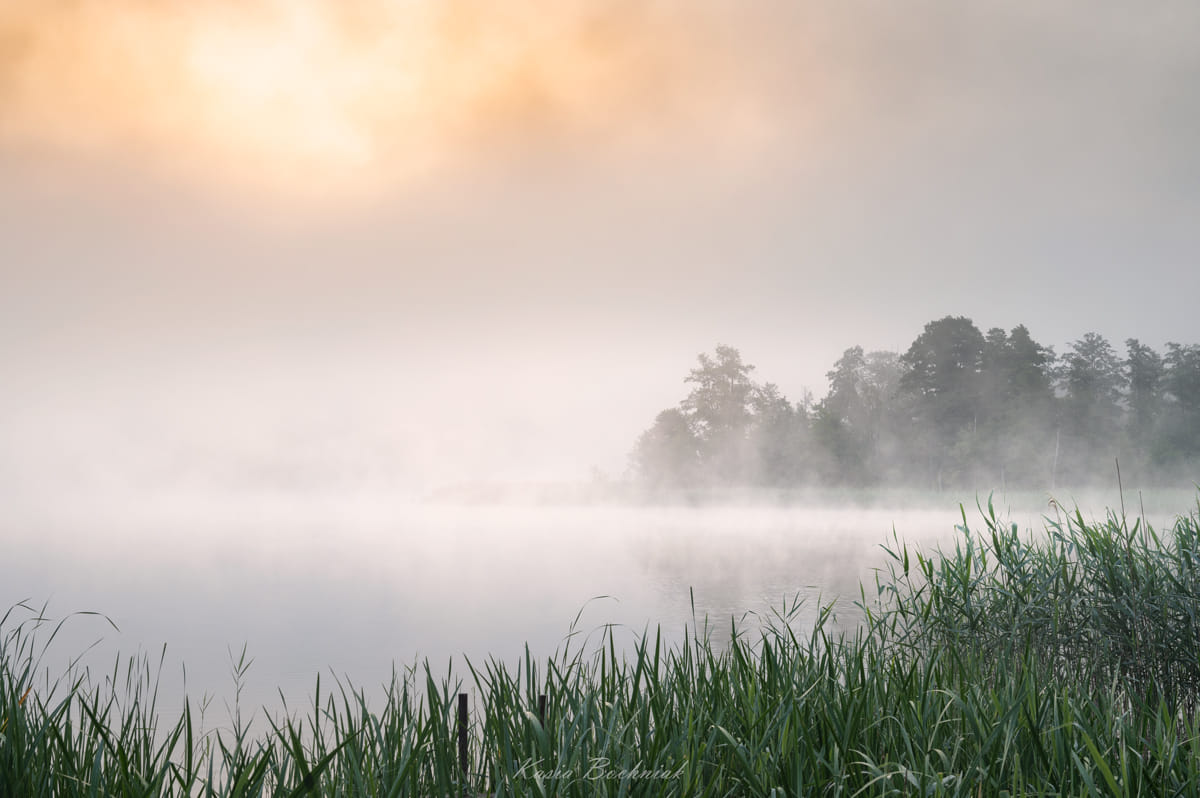 Krajobraz — Głębia naturalności, 38 z 49