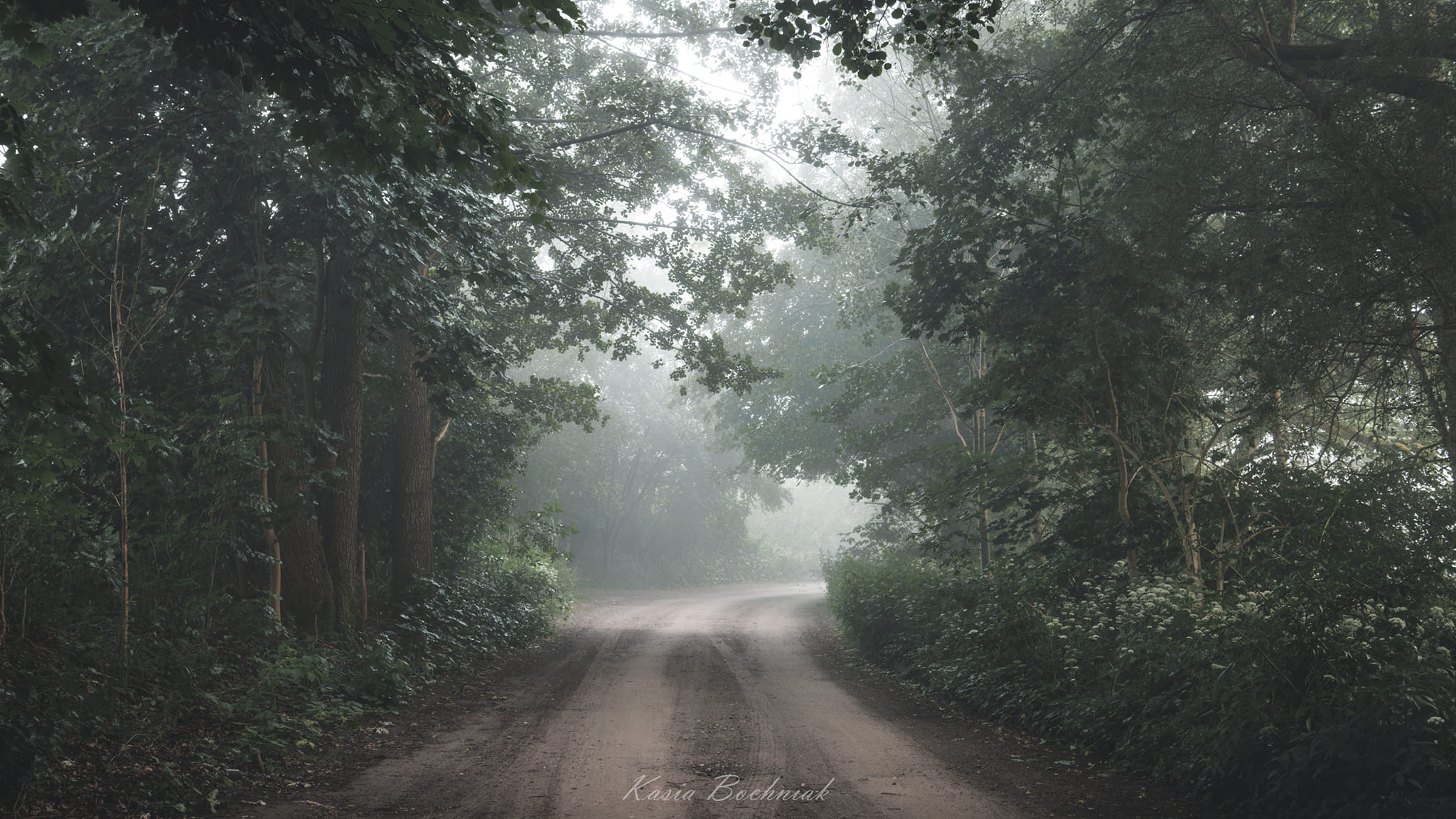 Krajobraz — Głębia naturalności, 40 z 49