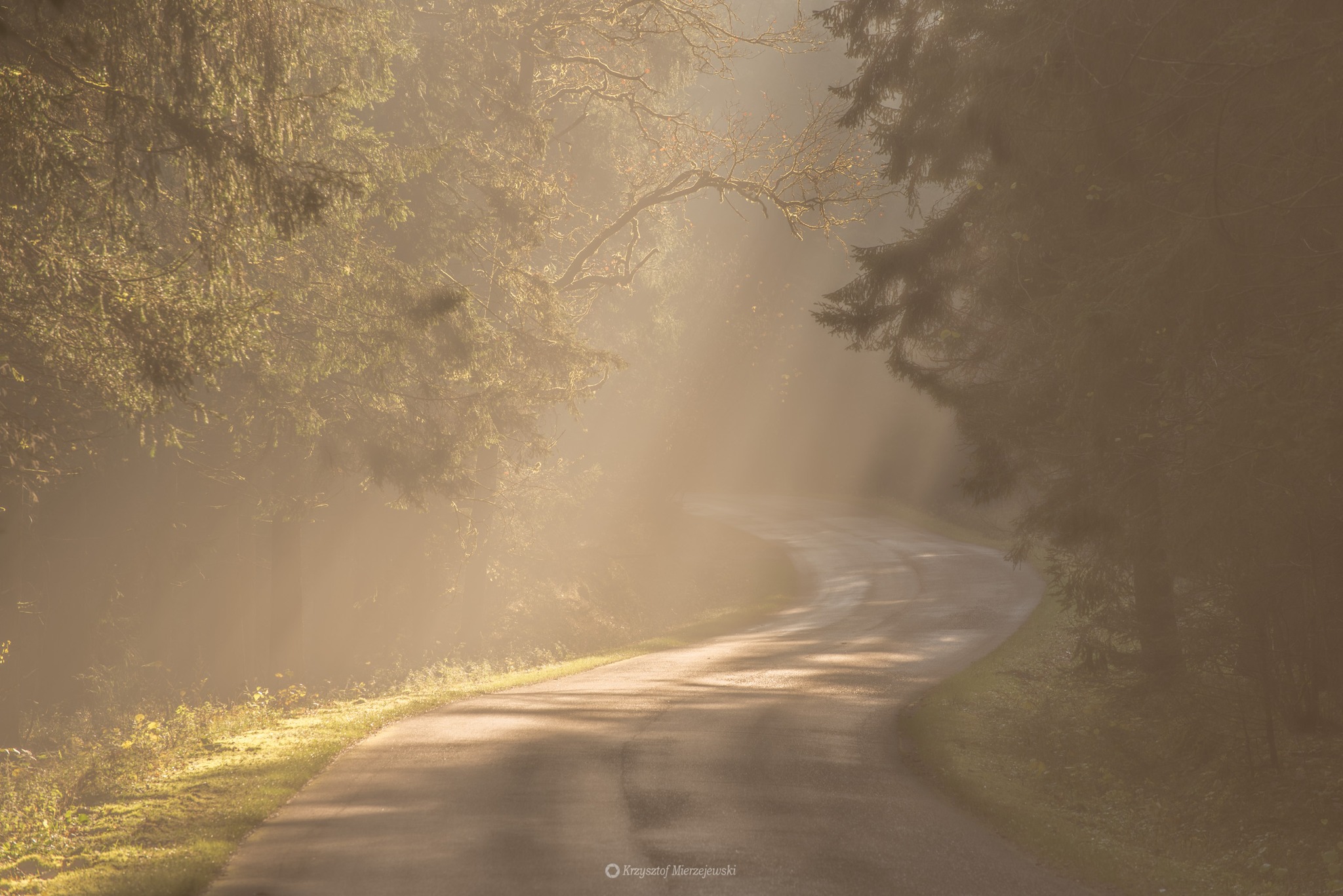 Krajobraz — Głębia światła wewnętrznego, 17 z 57