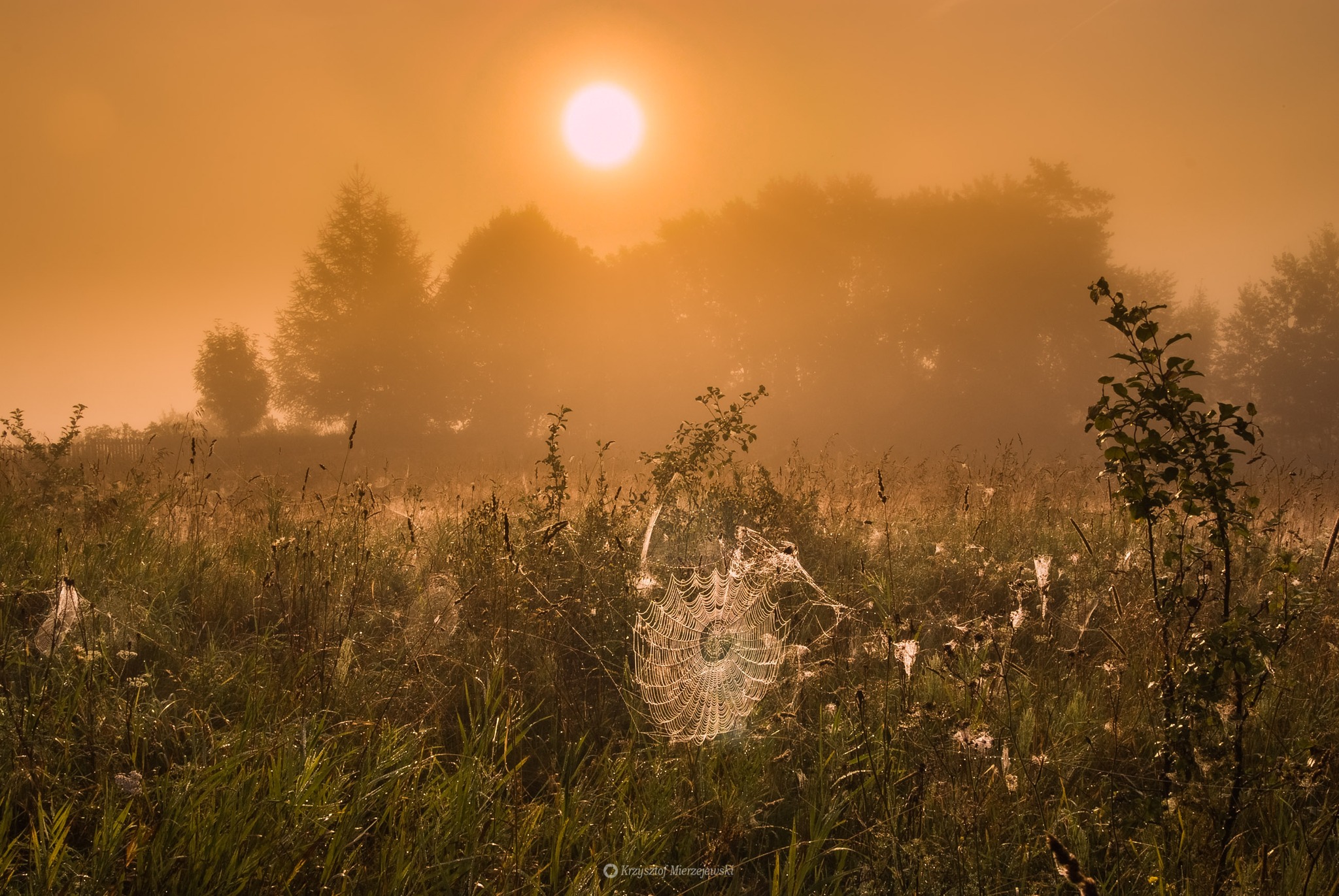 Krajobraz — Głębia światła wewnętrznego, 34 z 57