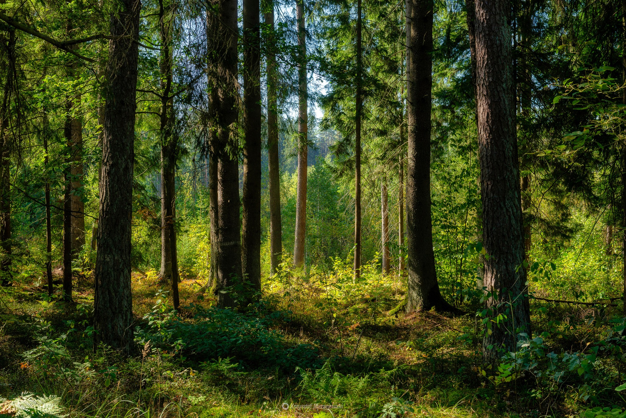Krajobraz — Głębia światła wewnętrznego, 52 z 57